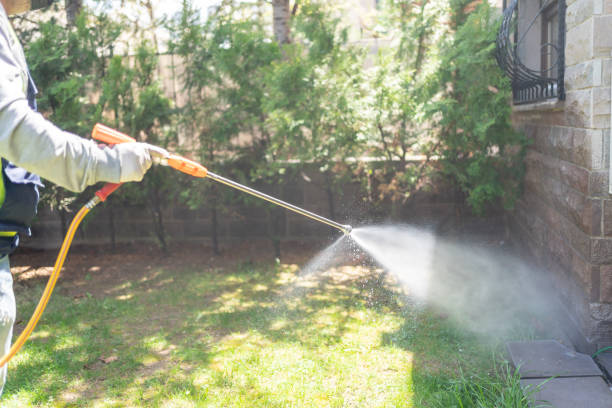 Best Pest Prevention Services  in Pinetop Country Clu, AZ